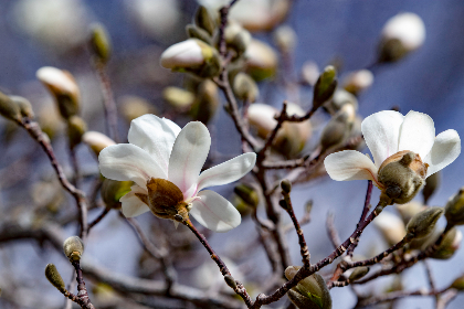 759999开奖结果最新公布,速来查看中奖详情 759999开奖结果最新公布,速来查看中奖详情