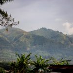 澳门贵宾厅开户流程中的风险识别与合规解读要点 82wfygevmp