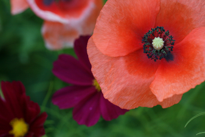 澳门赌博网址的最新动态与热门游戏推荐 澳门赌博网址的最新动态与热门游戏推荐