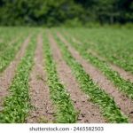 743开奖直播现场全程高清实况转播 yhvcv6