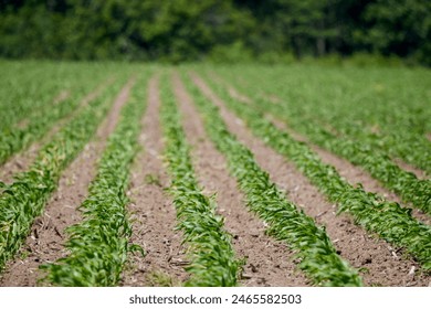 743开奖直播现场全程高清实况转播 743开奖直播现场全程高清实况转播