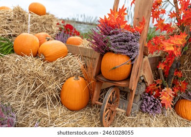 NBA常规赛焦点对决:湖人vs火箭全场直播精彩上演 NBA常规赛焦点对决:湖人vs火箭全场直播精彩上演