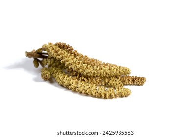 NBA常规赛火热开播,巨星对决引爆篮球盛宴 NBA常规赛火热开播,巨星对决引爆篮球盛宴